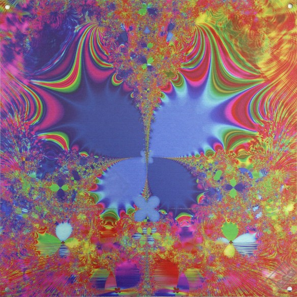 Butterflire - Artist Lianne Todd Digital Art printed on metal, single edition 20x20" $325.00