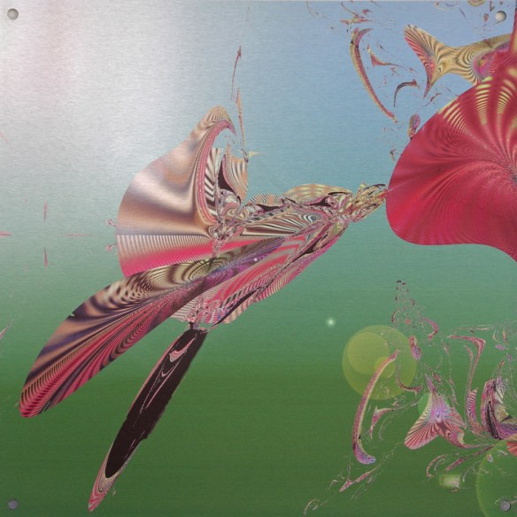 Pollinator - Artist Lianne Todd Digital Art printed on metal, single edition 16x16" $225.00