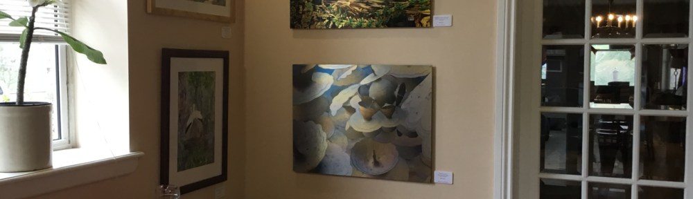 A corner of Lianne Todd's Gallery